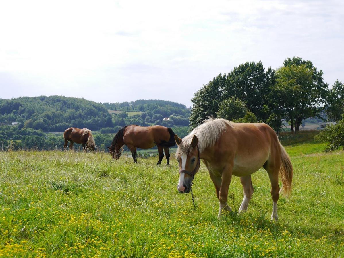 Agroturystyka "Pod Ptasia Gora" Golubie Exterior foto